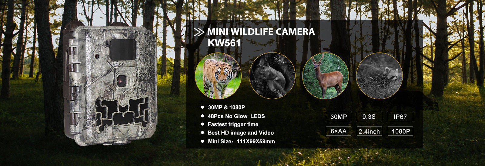 품질 디지털 야생동물 카메라 공장