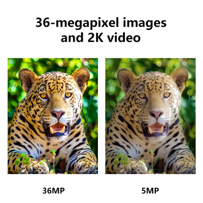 새로운 하이엔드 2K/30fps 듀얼 안테나 4G LTE 사진 및 비디오 장거리, 장시간 대기 원격 제어 추적 카메라