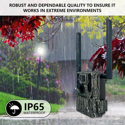 앱 원격 제어 GPS 트레일 카메라