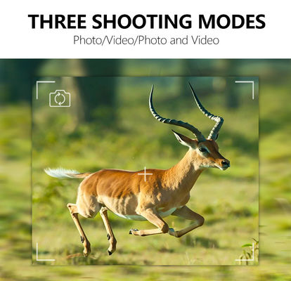 앱 원격 제어 GPS 트레일 카메라