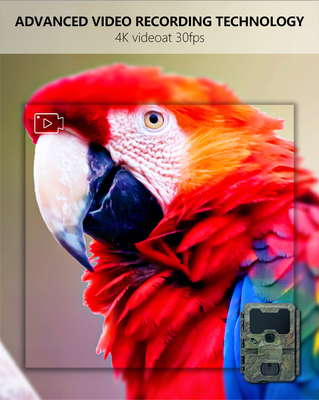 KW866 WIFI 사냥 야생 동물 경로 카메라 방수 IP67 OEM/ODM 512GB 저장장치 SD 메모리 카드 32MP 4K 사용 편리