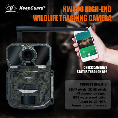 KW896 사냥 야생 동물 추적 카메라 4G 셀룰러 추적 카메라 공장 판매 OEM ODM 야생 동물 모니터링 카메라