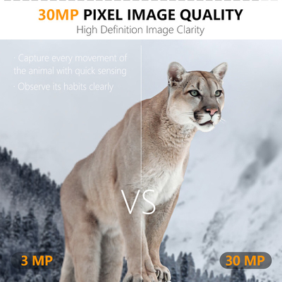 4G OEM/ODM 무선 시험 카메라 KW895 30MP 0.25s 트리거 속도 SIM 카드 IP67