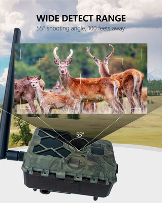 2024 최신 4G 무선 시험 카메라 OEM/ODM KW886 24MP 0.1s 트리거 120ft Night Range
