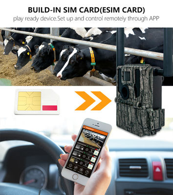 사냥 및 트레일 카메라 태양 전지 패널 4G 무선 카메라 KW897 듀얼 안테나 100피트 야간 범위 36MP 2K 비디오 30fps