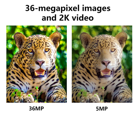하이엔드 4G 무선 추적 카메라 2024 최신 KW897 듀얼 안테나 36MP 2K 0.1s 트리거 속도 야간 시력