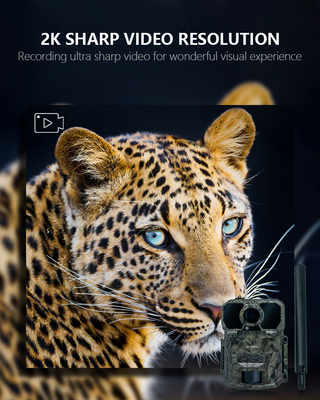 2025 최신 하이엔드 KW896 안테나 100피트 야간 범위 32MP 2K 사냥 카메라 GSM 4G 야생생물 연구 트레일 카메라