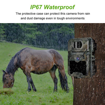 512GB 메모리 카드 지원으로 야생 동물 탐사를 위한 사용자 정의 가능한 HD 사냥 카메라