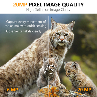 트레일 사냥 카메라 20MP 1080P 야생 동물 카메라 방수 IP67 게임 및 시험 카메라 최대 512GB 최대 82 피트 저장