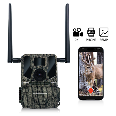 2024 최신 하이엔드 4G 무선 사냥 카메라 KW897 듀얼 안테나 100피트 야간 범위 36MP 2K 비디오 30fps 야생 동물