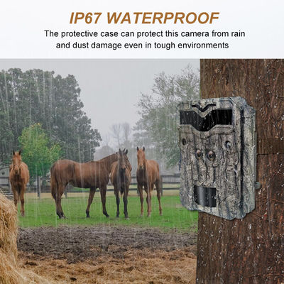 듀얼 렌즈 HD 사냥 카메라