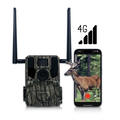 사냥 및 트레일 카메라 태양 전지 패널 4G 무선 카메라 KW897 듀얼 안테나 100피트 야간 범위 36MP 2K 비디오 30fps