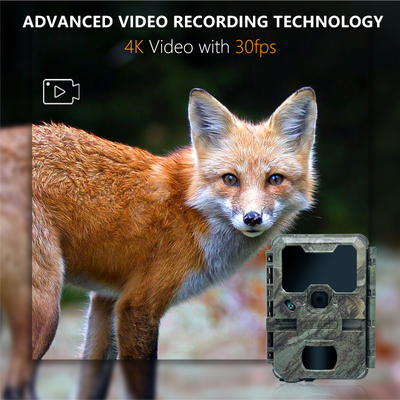 작은 크기의 트레일 카메라 KW788 0.1s 응답 32MP 선명한 이미지 4K 비디오 수질 IP67 야생 동물 관찰을 위해 512GB까지