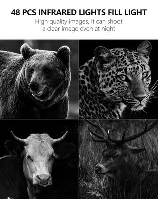 4G 트레일 카메라로 비교 불가한 성능 경험 야생 동물 모니터링을 위한 완벽한 솔루션