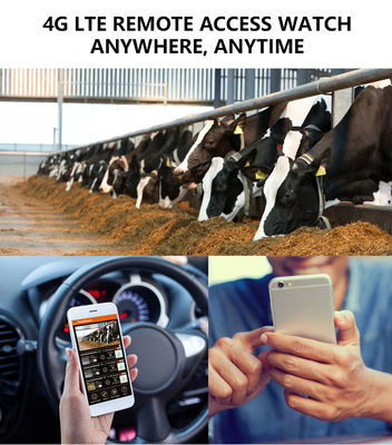 4G 트레일 카메라로 비교 불가한 성능 경험 야생 동물 모니터링을 위한 완벽한 솔루션