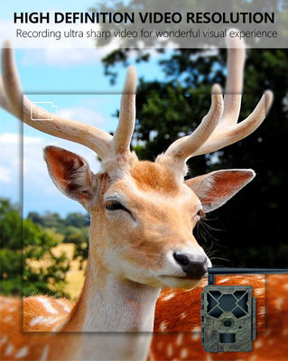 4G 트레일 카메라로 비교 불가한 성능 경험 야생 동물 모니터링을 위한 완벽한 솔루션