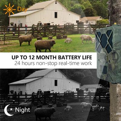 4G 트레일 카메라로 비교 불가한 성능 경험 야생 동물 모니터링을 위한 완벽한 솔루션