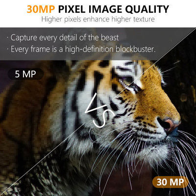 감시 카메라 KW591 두 개의 센서와 함께 반짝이는 1080P 방수 IP67 0.4s 사냥용 최대 512GB 저장 공간을 트리거