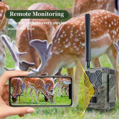 원격 제어 4G 사냥 카메라 KW886 1080p 비디오 능력과 120ft 밤 범위