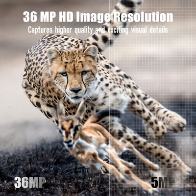 원격 보기 기능과 견고한 하우징을 갖춘 4G 트레일 카메라, 외딴 지역에서 상세한 이미지를 캡처하도록 설계됨