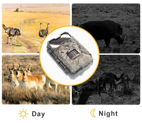 모션 액티베이트 와일드 라이프 카메라