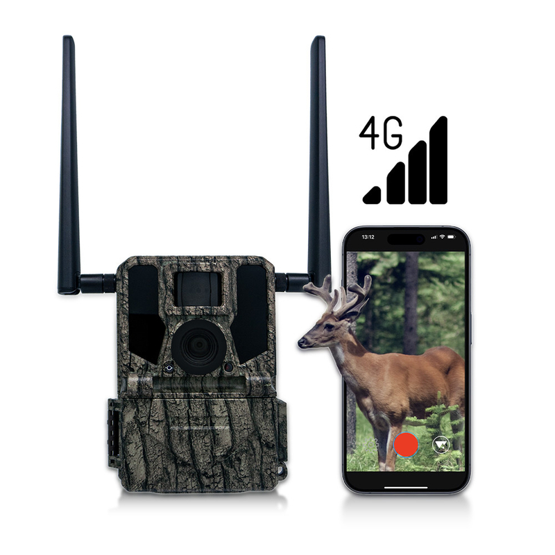 사냥 및 트레일 카메라 태양 전지 패널 4G 무선 카메라 KW897 듀얼 안테나 100피트 야간 범위 36MP 2K 비디오 30fps